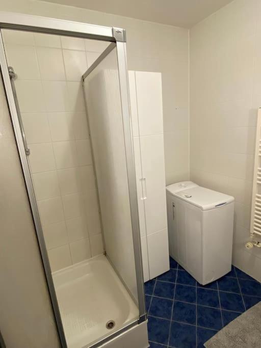 Grosszuegige, Zentrale In Apartment