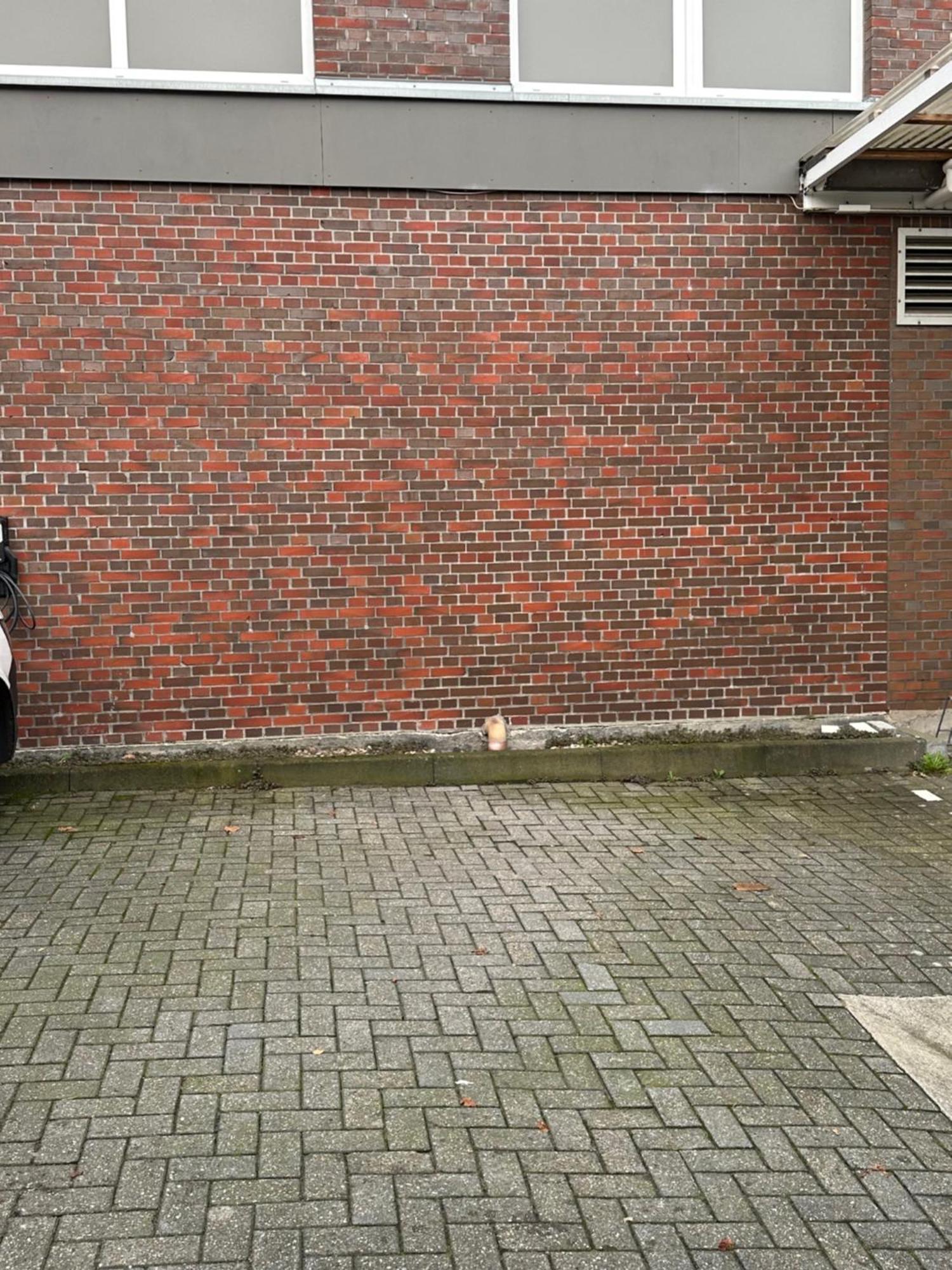 Apartment Grosszuegige, Zentrale In Leer